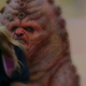 Illustration for article titled Check Out iDoctor Who/is Explosive New Comic-Con Trailer!